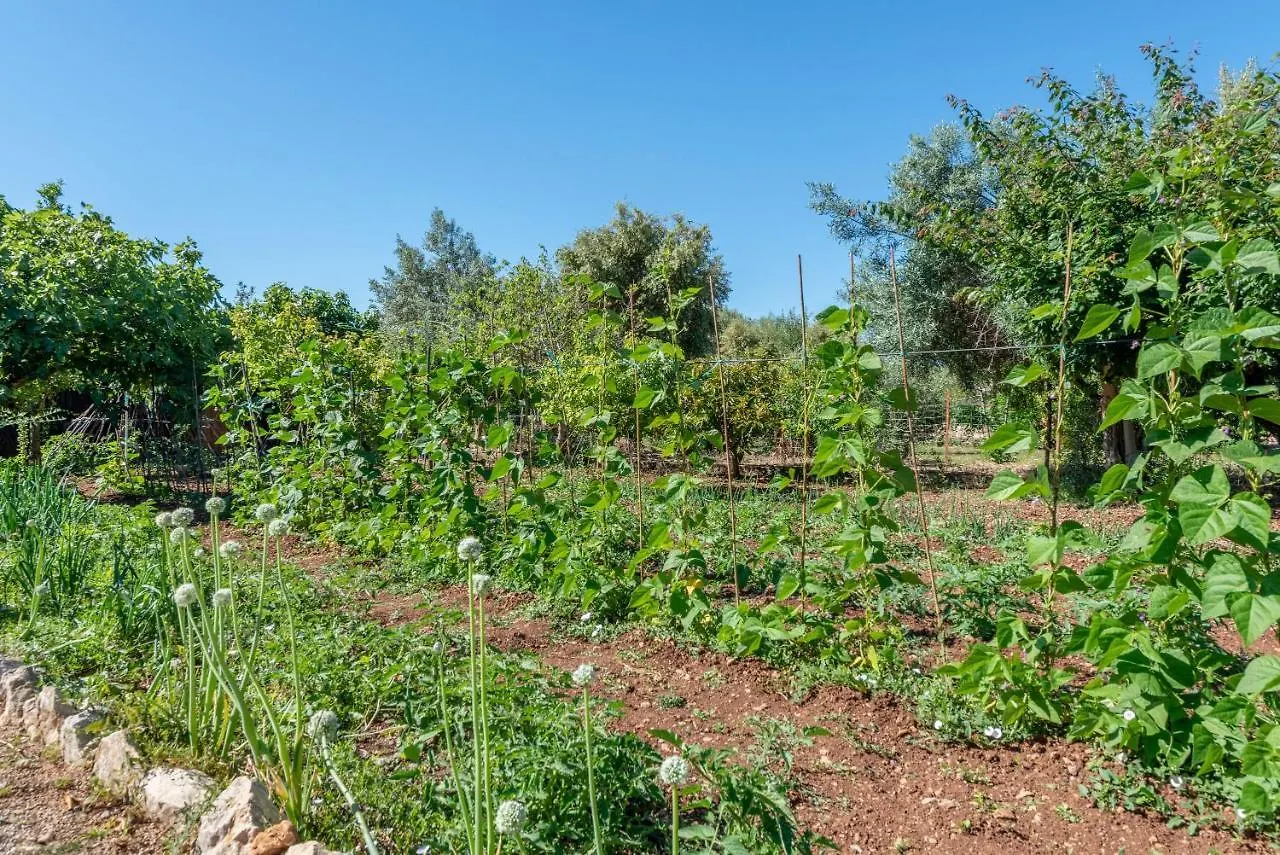 La Sorteta De Cuxach Pollença Spanien